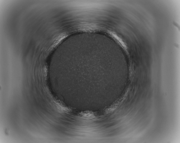 X0000095130113200712071317