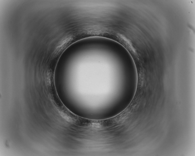 X0000095130114200712071317