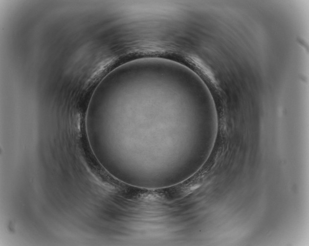 X0000095130115200712071317