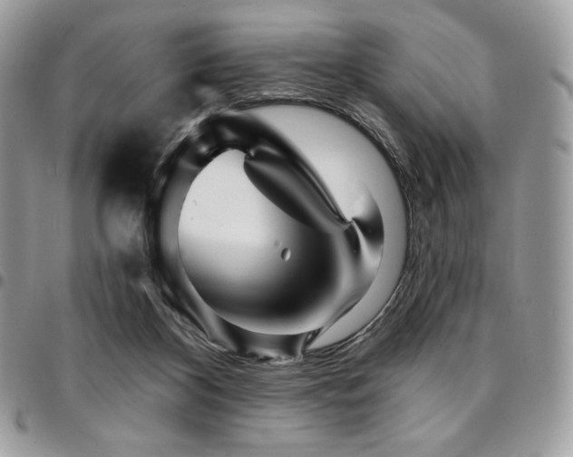 X0000095130116200712071317