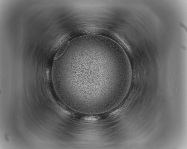 X0000095130117200712071317