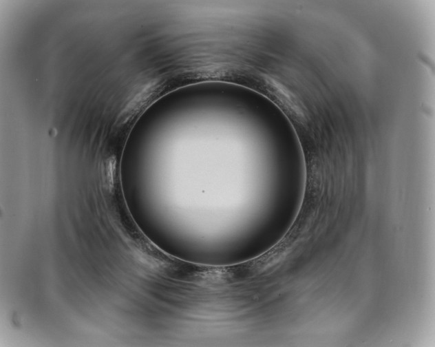 X0000095130118200712071317