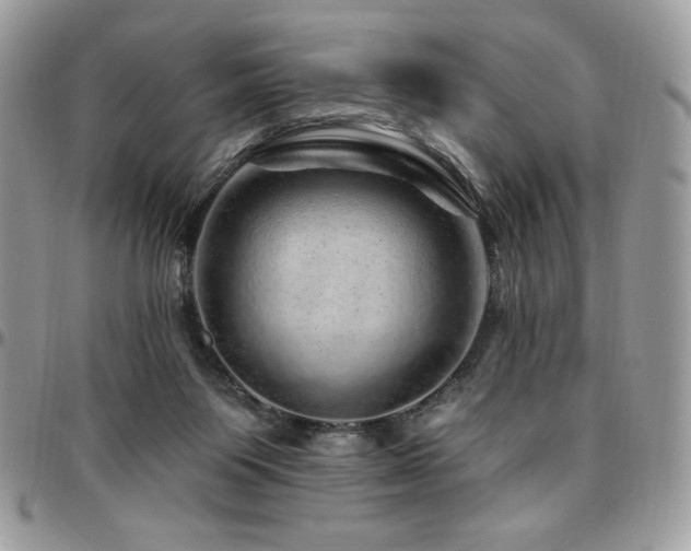 X0000095130119200712071317