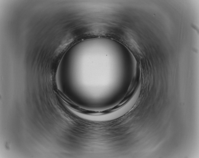 X0000095130120200712071317