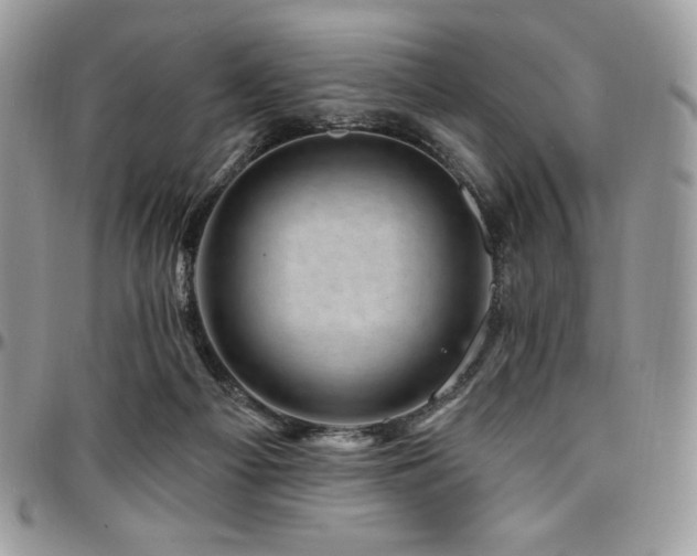 X0000095130121200712071317