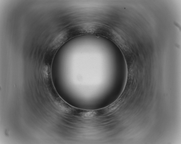 X0000095130122200712071317