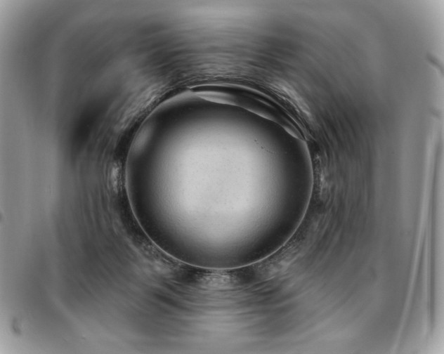 X0000095130123200712071317