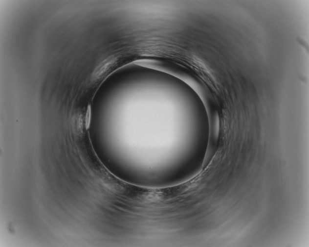 X0000095130124200712071317