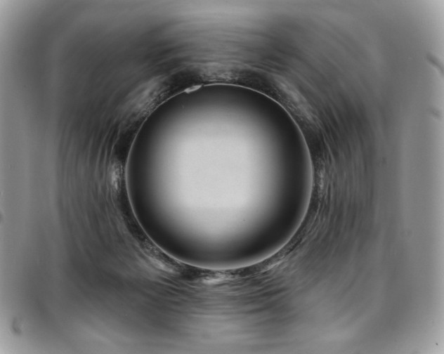 X0000095130125200712071317