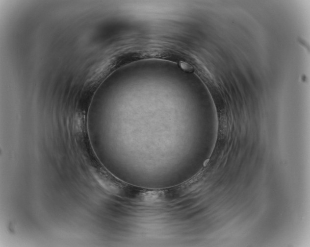 X0000095130126200712071317