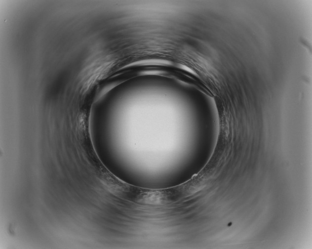 X0000095130127200712071317