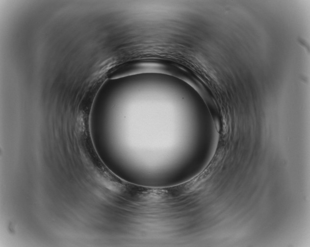 X0000095130128200712071317