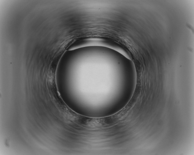 X0000095130129200712071317