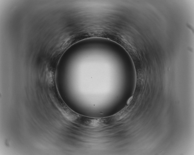 X0000095130130200712071316