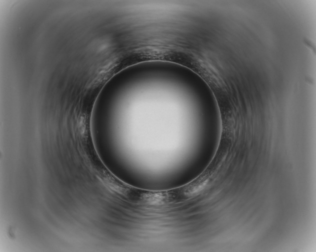 X0000095130131200712071316