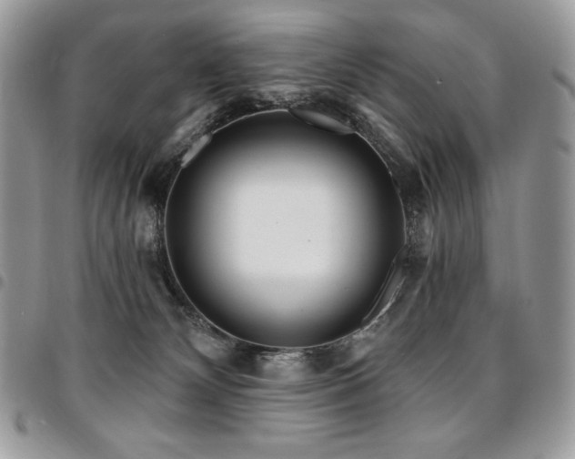 X0000095130132200712071316