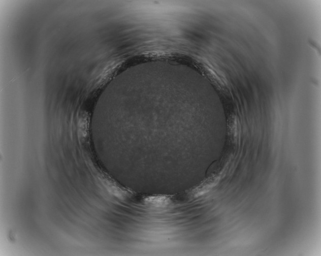 X0000095130133200712071316