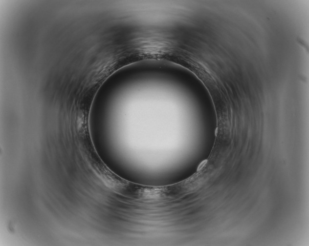 X0000095130134200712071316