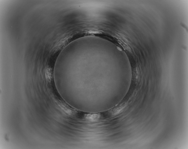 X0000095130135200712071316