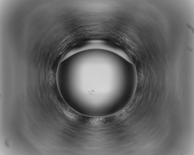 X0000095130136200712071316