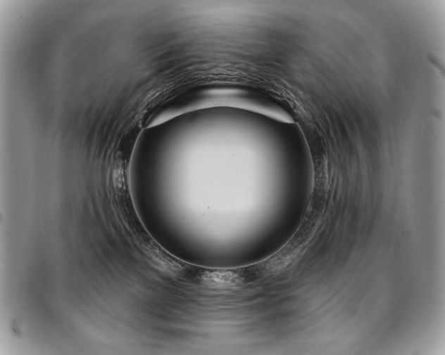 X0000095130137200712071316