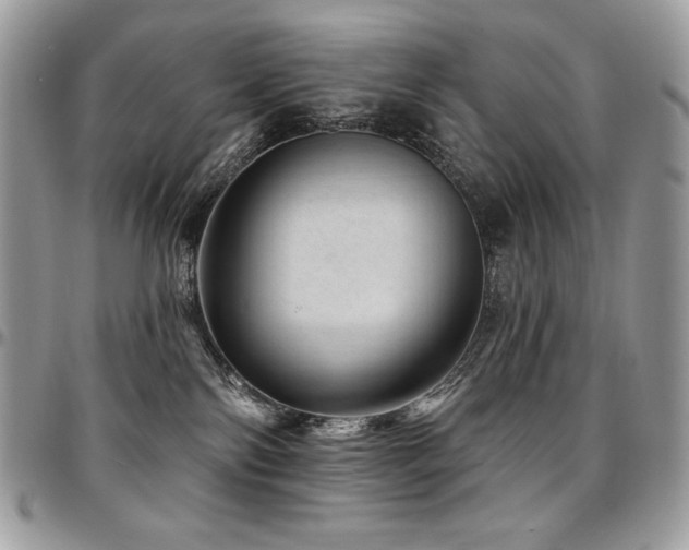 X0000095130138200712071316