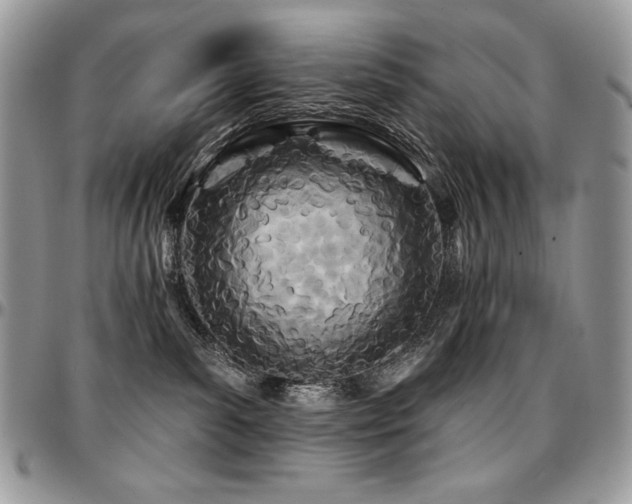 X0000095130139200712071316