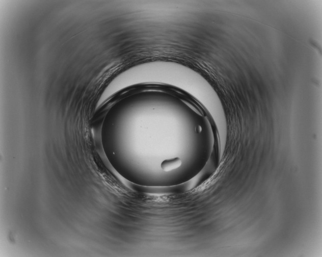 X0000095130140200712071316