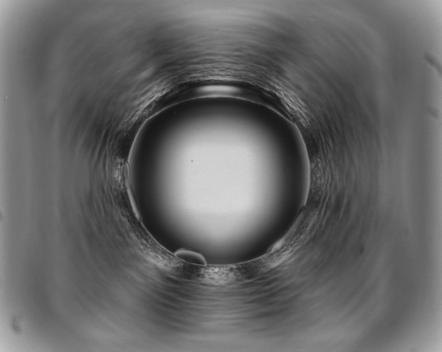 X0000095130141200712071316