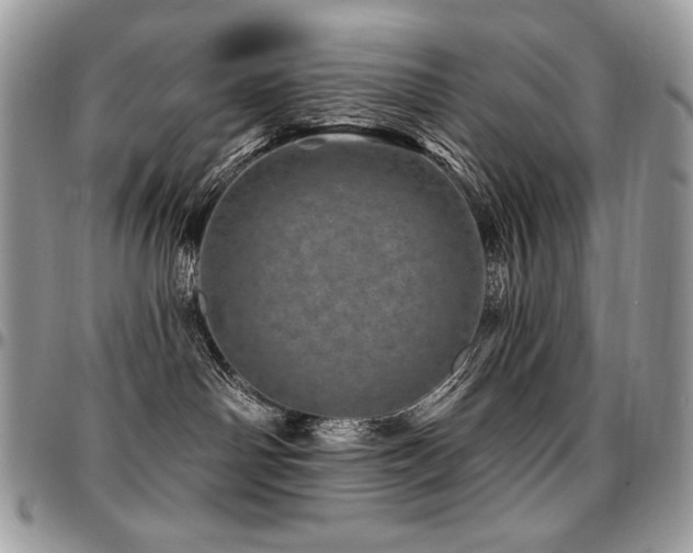 X0000095130142200712071316