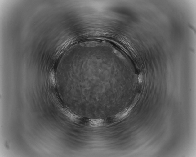 X0000095130143200712071316