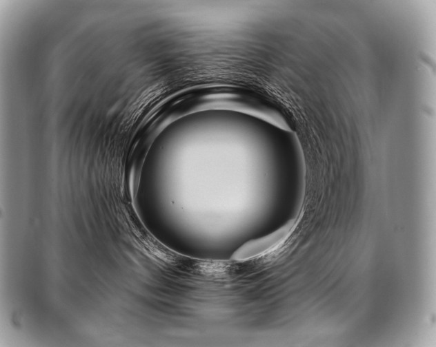 X0000095130144200712071316