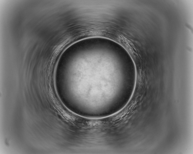 X0000095130145200712071316