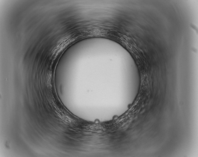 X0000095130146200712071316