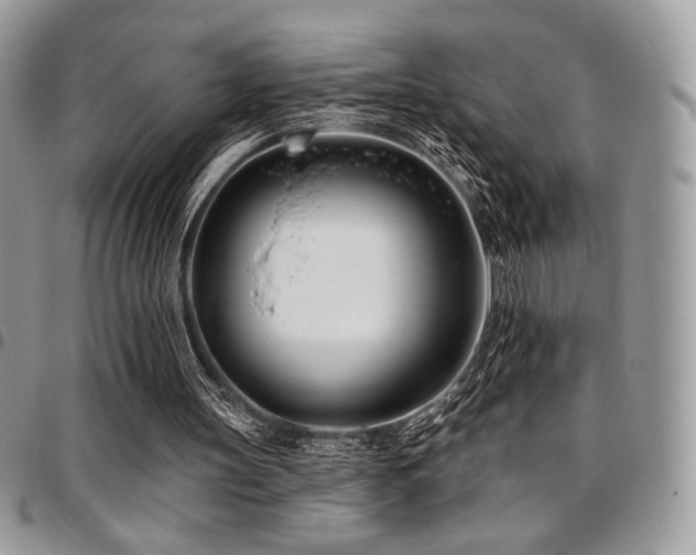 X0000095130147200712071316