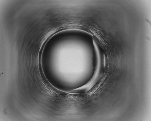 X0000095130148200712071316