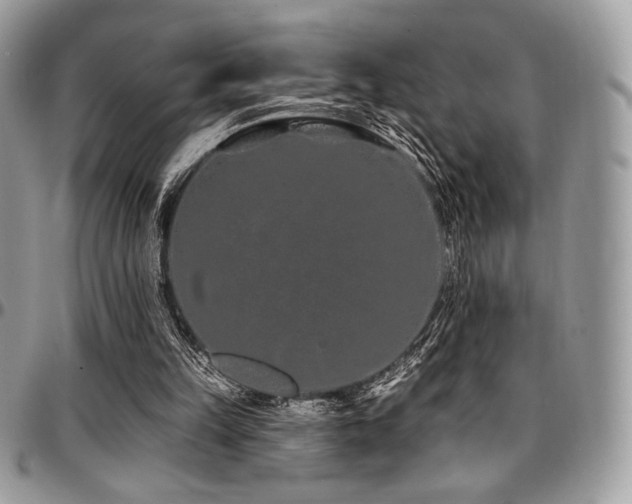 X0000095130149200712071316