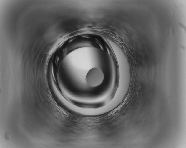 X0000095130150200712071316