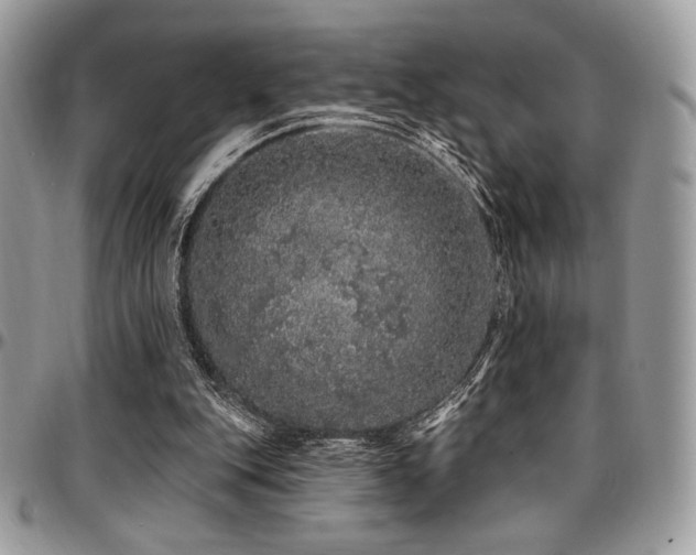 X0000095130151200712071316