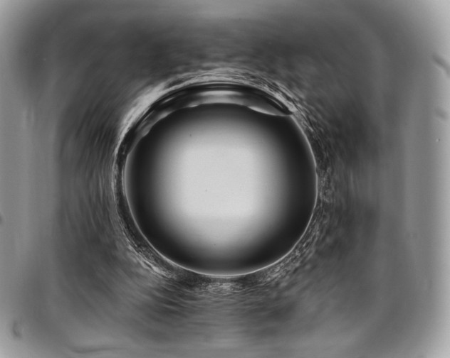 X0000095130152200712071316