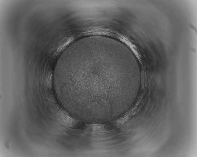 X0000095130153200712071316