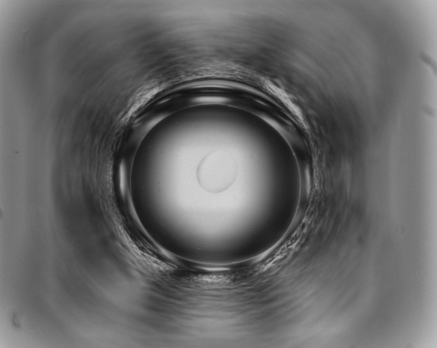 X0000095130154200712071316