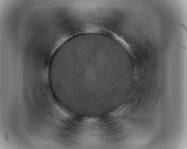 X0000095130155200712071316