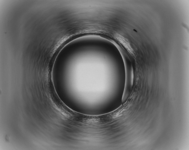 X0000095130156200712071316