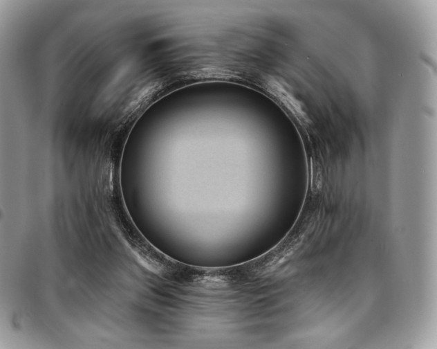 X0000095130157200712071316