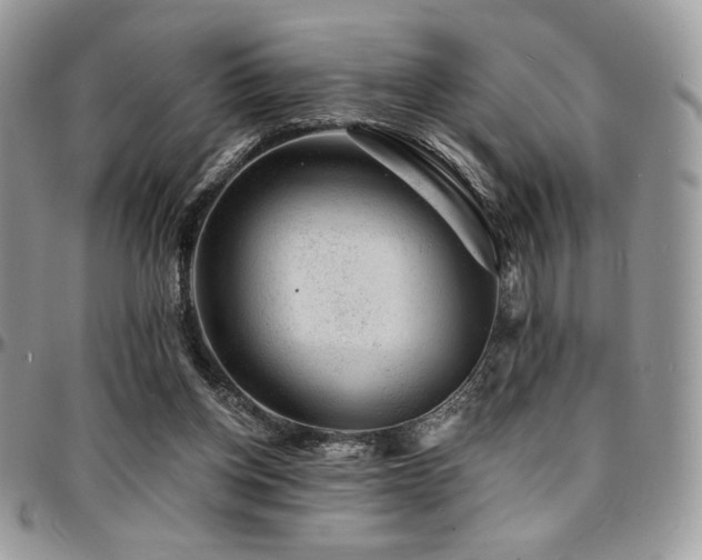 X0000095130158200712071316