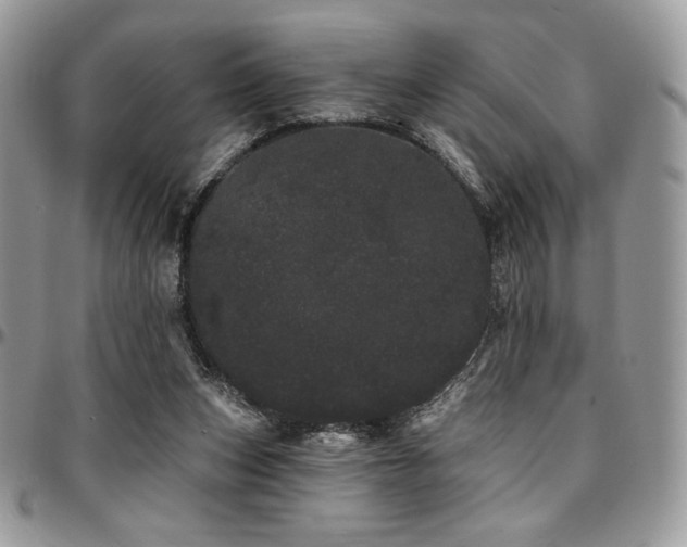 X0000095130159200712071316