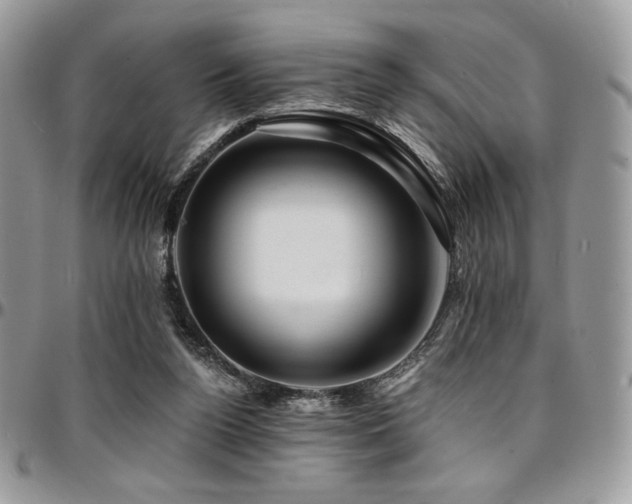 X0000095130160200712071316