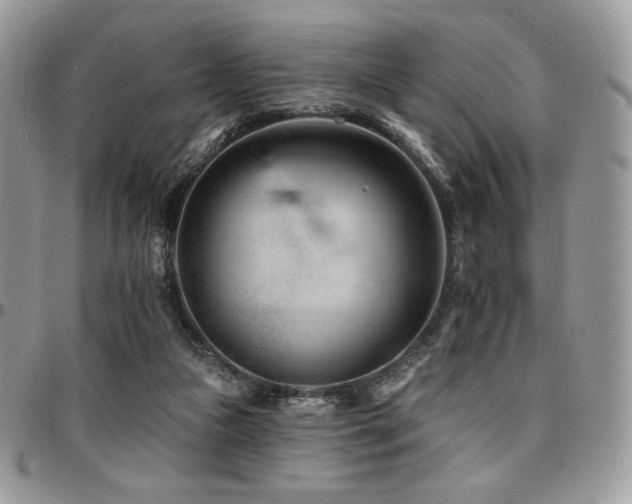 X0000095130161200712071316