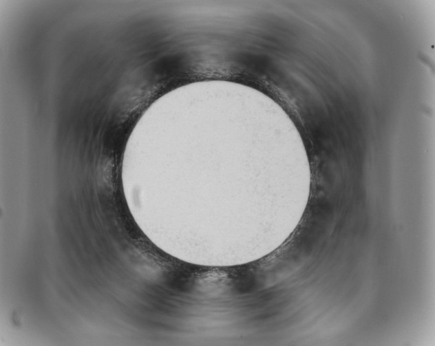 X0000095130162200712071316